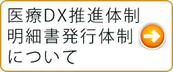 医療DX推進体制・明細書発行体制について